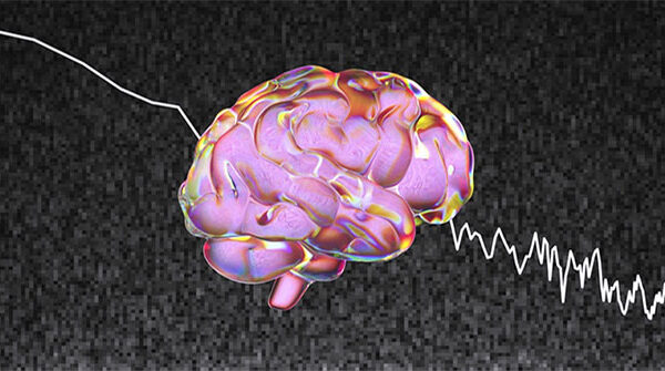 AI đã có thể tái hiện chính xác đến hơn 80% hình ảnh trong não người