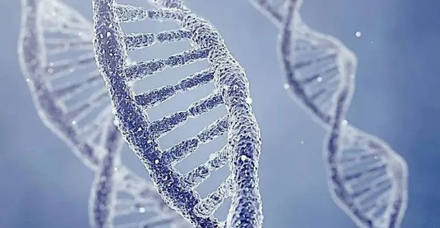 Sự thật đáng sợ về cận huyết: Lời nguyền của gene, tuyến phòng thủ cuối cùng của tự nhiên!