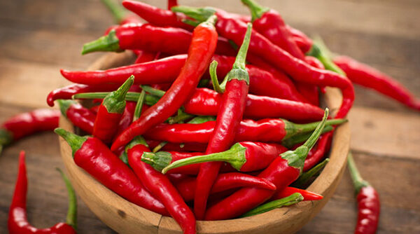 Đừng cho trực tiếp vào tủ lạnh, có cách bảo quản ớt tươi như mới hái đến cả nửa năm