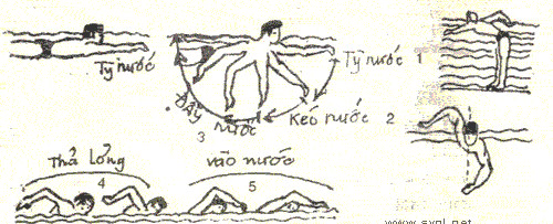 Thực hiện đủ 1 các kỹ thuật: Vào nước - Tỳ nước - Kéo nước - Đẩy nước - Thả lỏng.