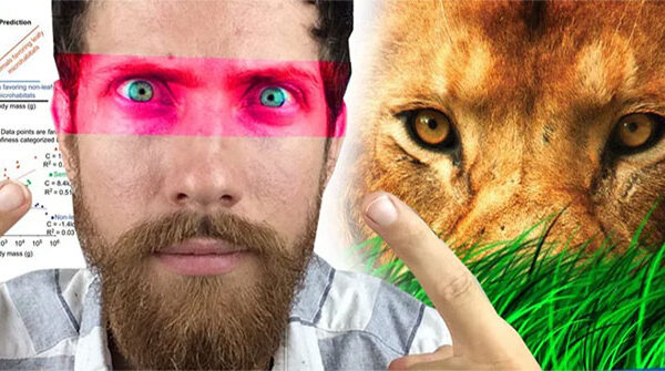 Vì sao con người lại sở hữu đôi mắt của những kẻ săn mồi hàng đầu?