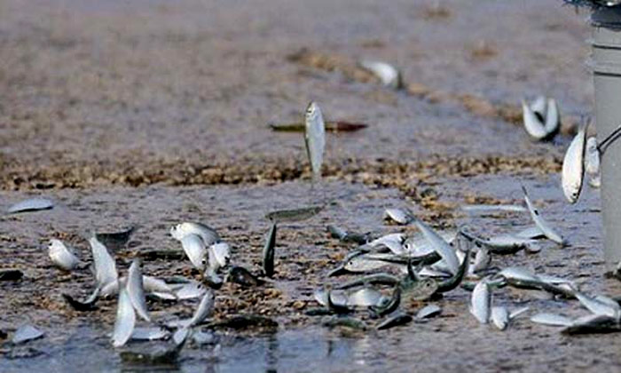 10 hiện tượng thiên nhiên kỳ bí thách thức khoa học