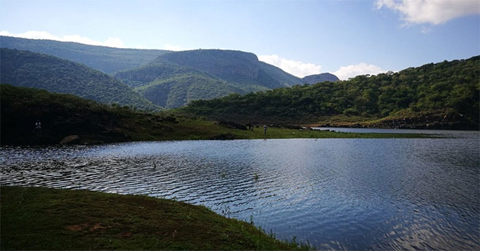 Hồ Fundudzi được bao quanh bởi khu rừng Thatthe Vondo