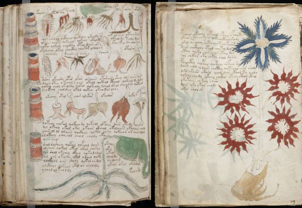 Một trang bản thảo Michael Wilfrid Voynich bí ẩn