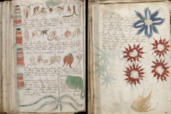 Bản thảo bí ẩn nhất thế giới đã được giải mã