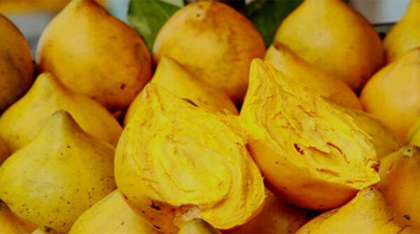 Tác dụng tuyệt vời của quả trứng gà đối với sức khỏe