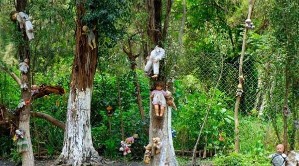 “Cánh rừng tự sát” của Nhật Bản hiện tại thế nào sau nhiều năm gây ám ảnh?