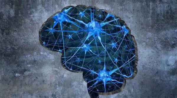 Ký ức được hình thành như thế nào?