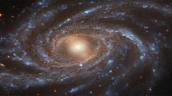 Thành phần chính của sự sống xuất hiện ở nơi không ngờ nổi