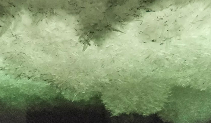 bang-frazil Băng frazil ở Nam Cực
