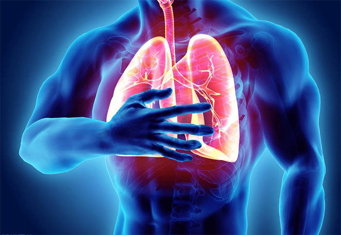 Phổi sạch – đảm bảo cho hơi thở êm ái