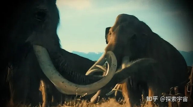 Các nhà khoa học tìm được rất nhiều hài cốt của voi ma mút ở Siberia