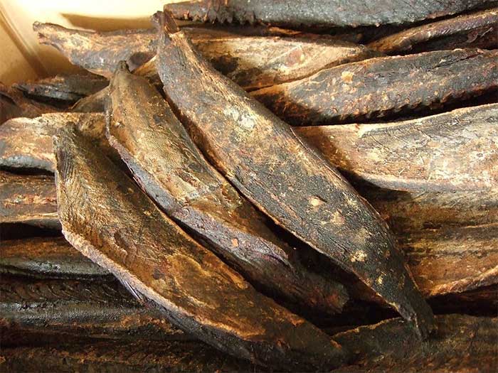 katsuobushi Katsuobushi có thể khiến nhiều người lầm tưởng là khúc gỗ.