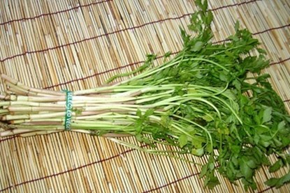Công dụng của rau cần trong chữa bệnh Công dụng chữa bệnh thần kỳ của rau cần