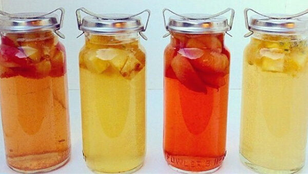 Những điều cần biết về "trà Kombucha" - Trà lên men