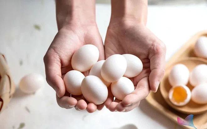 Trên thực tế, giá cả của các loại trứng không liên quan gì đến giá trị dinh dưỡng