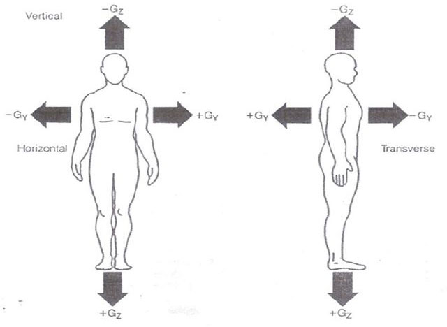 Hệ thống tuần hoàn bị ảnh hưởng đáng kể nhất bởi lực G tăng lên trong quá trình bay.