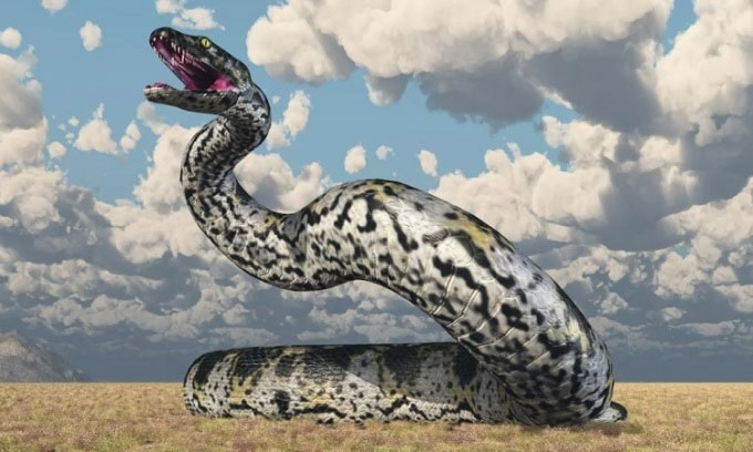 titanoboa Titanoboa có thể lớn ngang khủng long bạo chúa T-Rex.